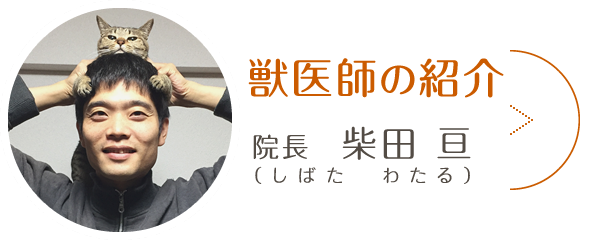 獣医師の紹介。詳しくはこちら