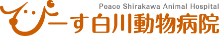 ぴーす白川動物病院