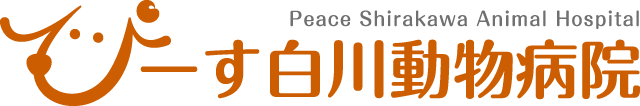 【ぴーす白川動物病院】神戸市須磨区の動物病院