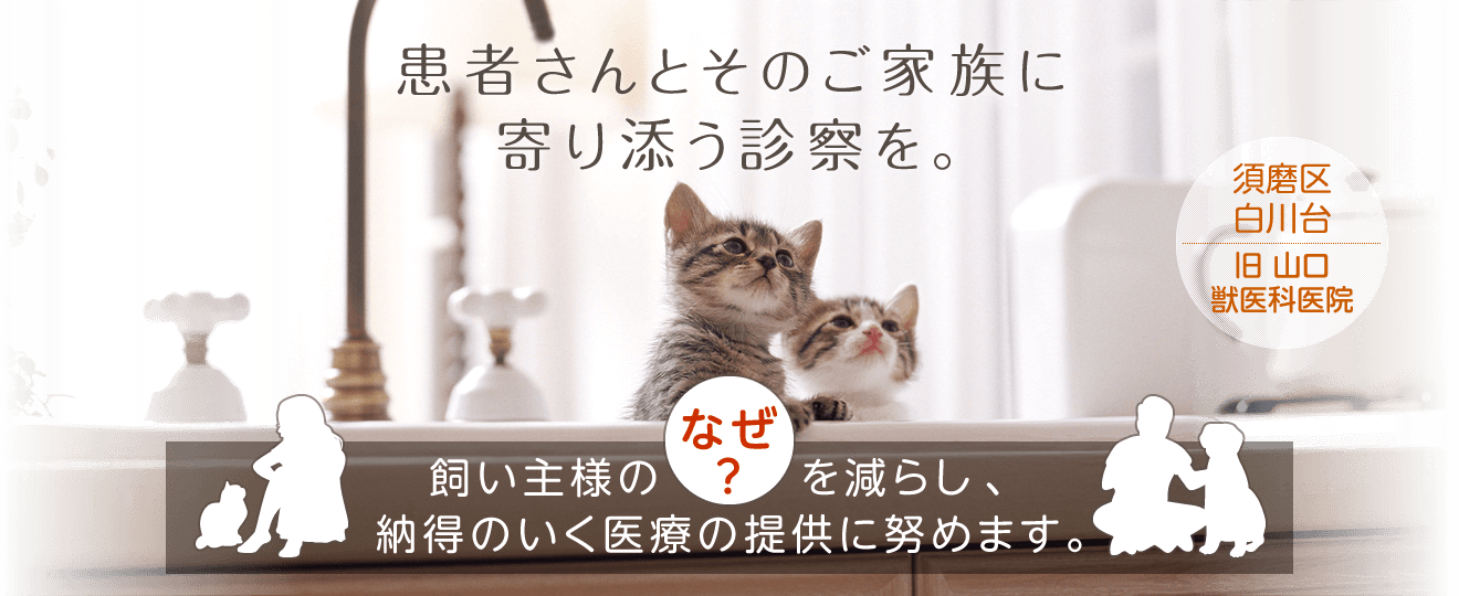 患者さんとそのご家族に寄り添う診察を。 飼い主様の「なぜ?」を減らし、納得のいく医療を提供していきたい。神戸市須磨区の動物病院【ぴーす白川動物病院】です。犬、猫を中心とした全科診療に対応いたします。
