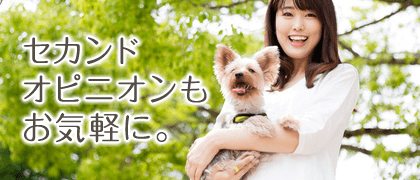 セカンドオピニオン